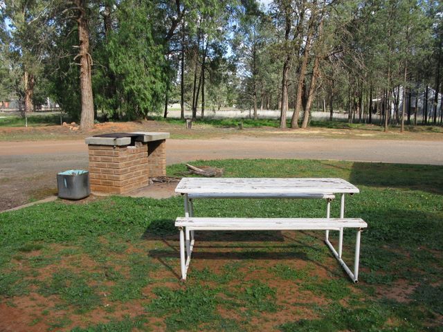 Ardlethan Caravan Park - Ardlethan: BBQ area and picnic table