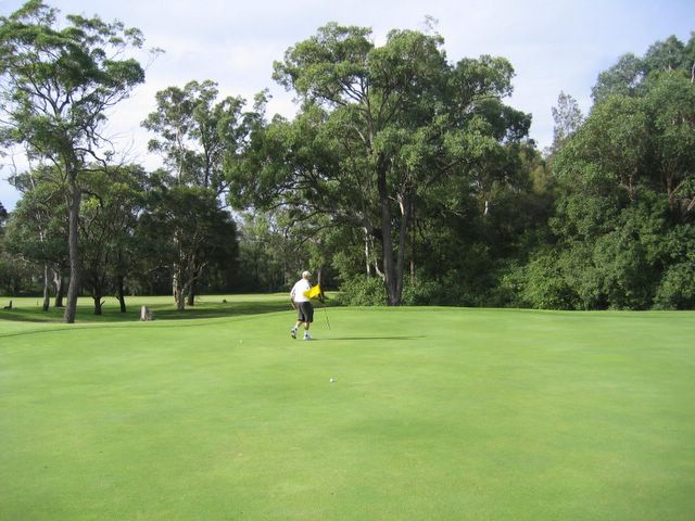 Waratah Golf Course - Argenton: Green on Hole 10