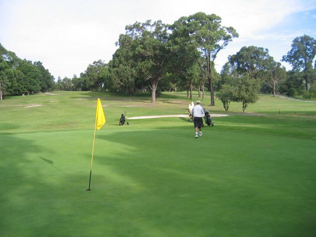 Waratah Golf Course - Argenton: Green on Hole 15
