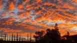 Armidale Showground - Armidale: Same sunset looking west