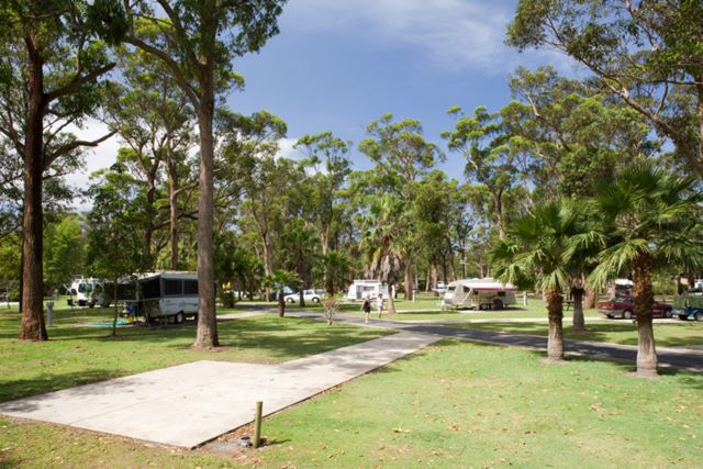NRMA Darlington Beach Holiday Park - Arrawarra: Powered sites for caravans with excellent concrete slab