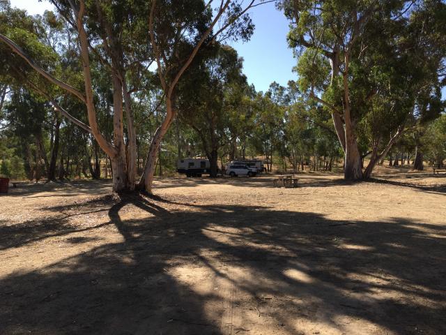 Lions Club Park - Avoca: Overview of free camping area