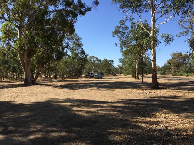 Lions Club Park - Avoca: Lots of wide open spaces with plenty of room for everyone.
