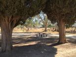 Lions Club Park - Avoca: Shady picnic area