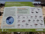 South Ballina Beach Holiday Park - Ballina: There is abundant birdlife in the area