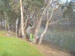 Balranald Caravan Park - Balranald: perfect place for a frog to sit, fishing