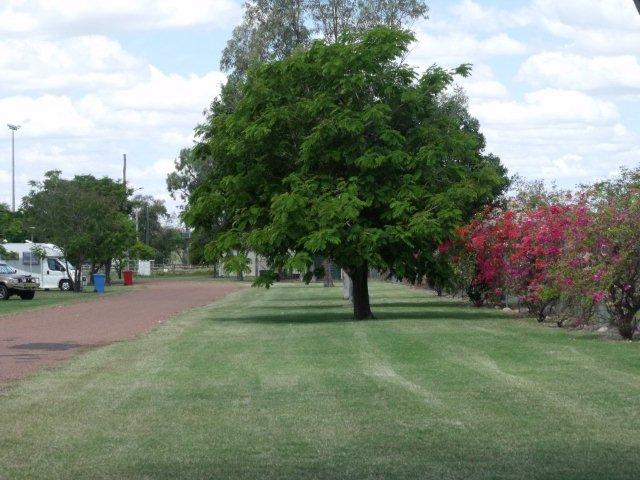 Barcaldine Showground Caravan Park - Barcaldine: Area for tents and camping