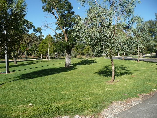 Barossa Valley Tourist Park by Alan McKim - Barossa Valley Nuriootpa: Area for tents and camping