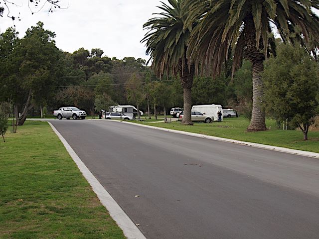 Barossa Valley Tourist Park by Russell Barter - Barossa Valley Nuriootpa: Magnificent road