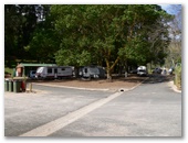 Queen Victoria Jubilee Park - Williamstown Barossa Valley: Shady powered sites for caravans