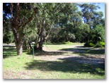 Racecourse Beach Tourist Park - Bawley Point: Bushland powered sites for campers and caravans
