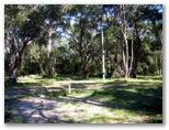 Racecourse Beach Tourist Park - Bawley Point: Natural bush setting with powered sites