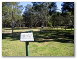 Racecourse Beach Tourist Park - Bawley Point: Lots of powered sites