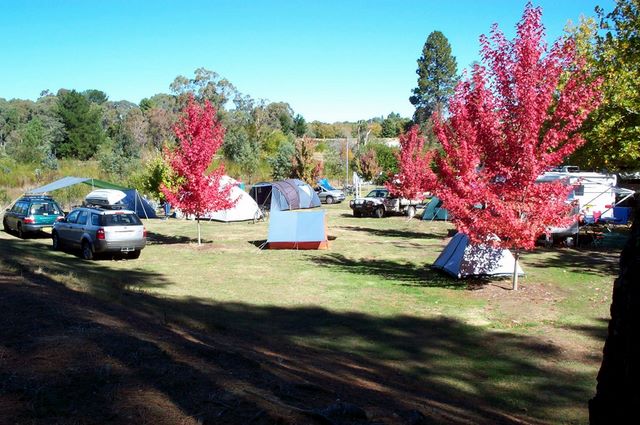 Beechworth Lake Sambell Caravan Park - Beechworth: Unpowered camp sites