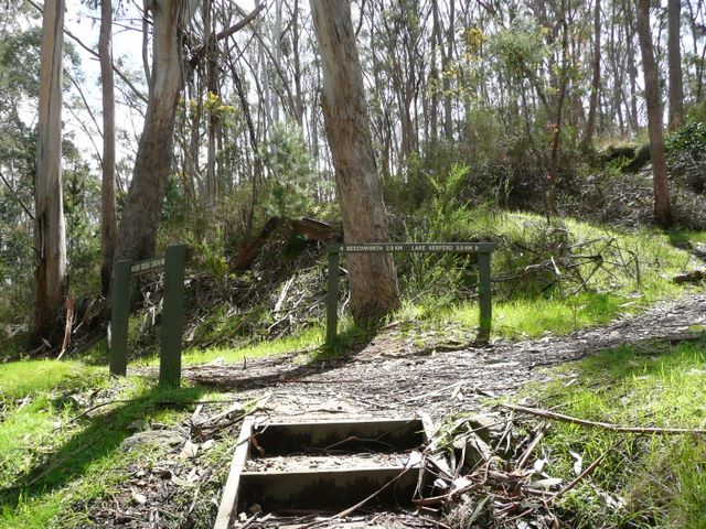 Silver Creek Caravan Park - Beechworth: Bushwalks in both directions one of 2km to Beechwoeth and the other of 3km to Lake Kerferd.