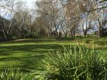 Bega Recreation Reserve - Bega: Another nice area for relaxation.