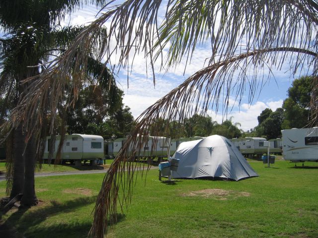 Belmont Bayview Park - Belmont: Area for tents and camping and powered sites