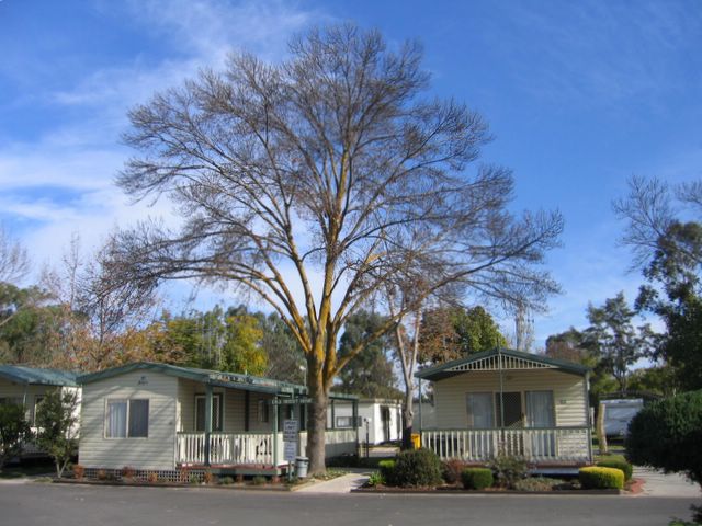 Gold Nugget Tourist Park - Bendigo: Cottage accommodation ideal for families, couples and singles