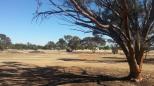 Birchip Motel & Caravan Park - Birchip: Area for tents and camping. These are unpowered sites.