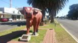 Birchip Motel & Caravan Park - Birchip: Birchip is home of the mighty Mallee bull