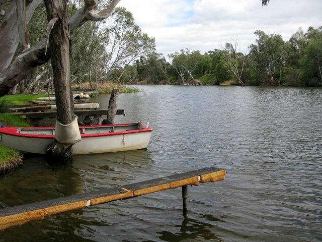 The Loddon River beside the park is a great place to fish.