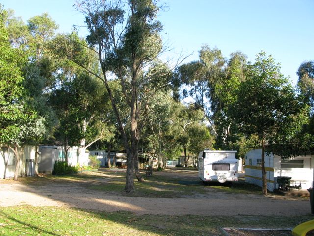 Powered sites for caravans at Lake Entrance Tourist Park