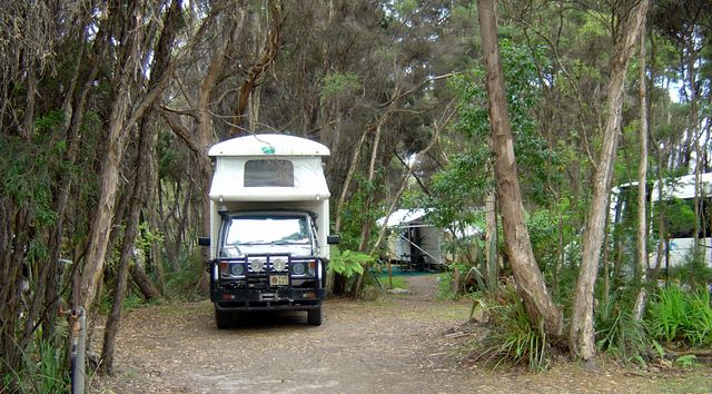 Powered sites for caravans and vans in natural bushland settting