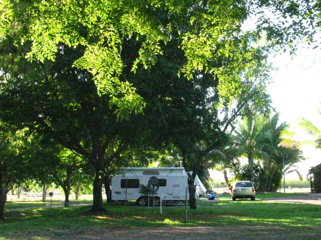 Shady powered sites for caravans 