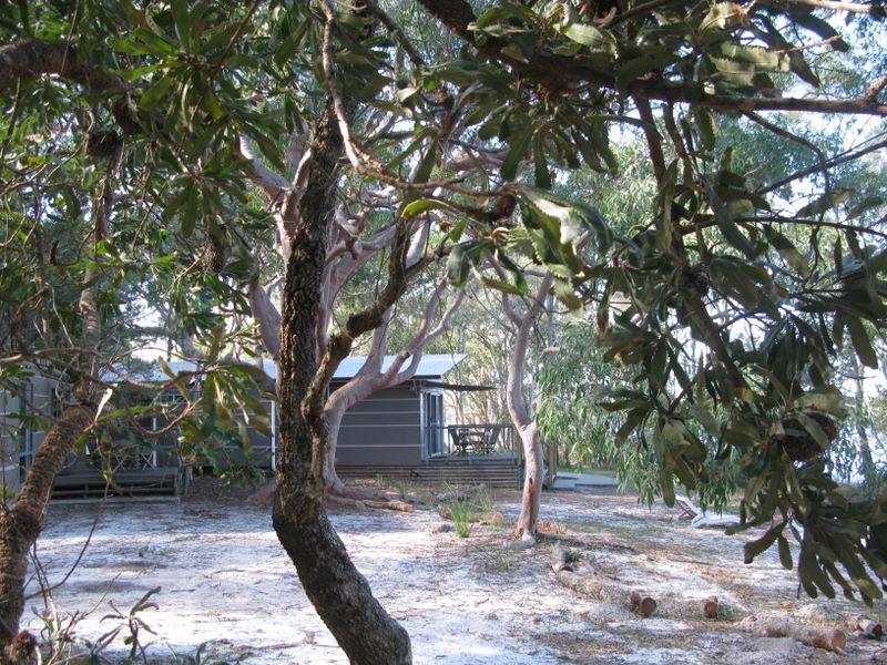 Myall Shores Nature Resort - Bombah Point Via Bulahdelah: Cottages in bushland setting.