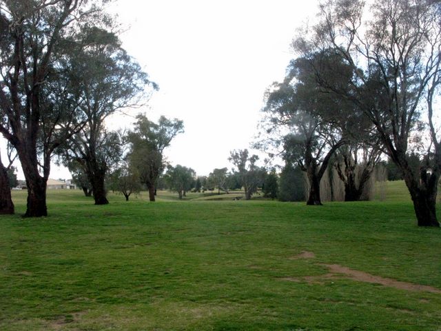 Boorowa Recreation Club Golf Course - Boorowa: Fairway view on Hole 8