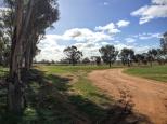 Boort Showground and Harness Racing - Boort: Plenty of room around the perimeter of the Showground for unpowered camping.