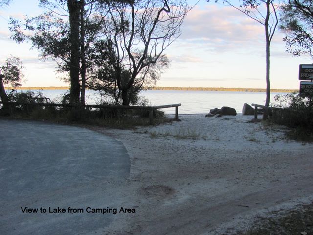 Boreen Point Bush Camping & Caravan Park - Boreen Point: View to Lake from Camping Area