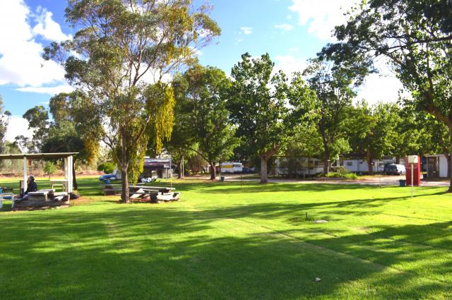 Murray River Caravan Park Boundary Bend - Boundary Bend: Nice tidy park. Nice grassy sites,clean ammenities and very friendly and helpful staff. Reasonable rates ($23/night Mar. 2013)