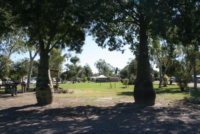 Mitchell Caravan Park - Bourke: View from rear of park