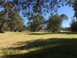 Boydtown Caravan Park - Boydtown: Area for tents and camping.