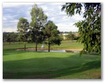 Branxton Golf Course - Branxton: Green on Hole 8