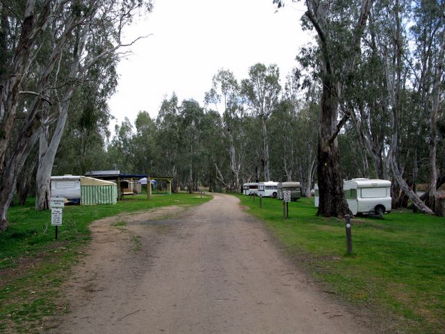 Bridgewater Public Caravan Park - Bridgewater on Loddon: Road to camping area
