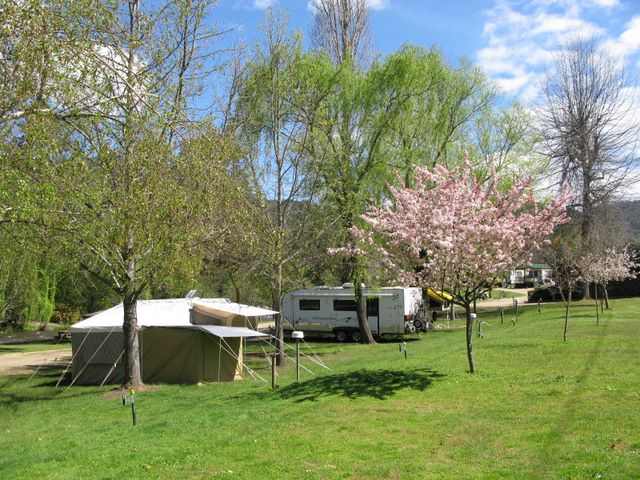 Bright Riverside Holiday Park - Bright: Powered sites for caravans