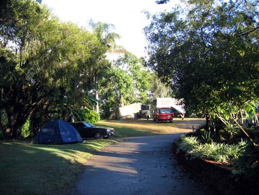 Newmarket Gardens Caravan Park - Ashgrove Brisbane: Area for tents and camping