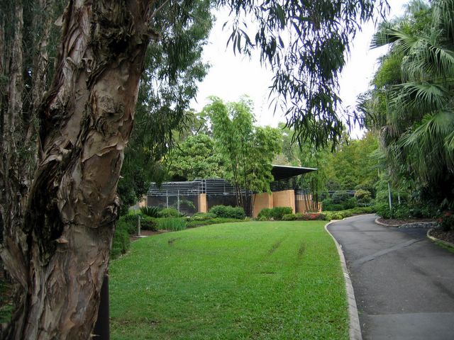 Brisbane Botanic Gardens - Brisbane: 