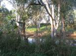 Terramungamine Reserve - Brocklehurst: Creek runs beside the area and may flood in heavy rains.