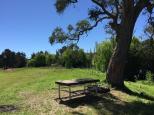 Brodies Plains Campground - Brodies Plains: A nice place to have a picnic.