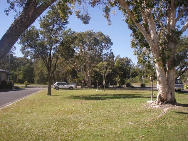 Ferry Reserve Holiday Park - Brunswick Heads: Powered sites for caravans
