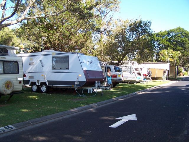 Terrace Reserve Holiday Park - Brunswick Heads: Powered sites for caravans