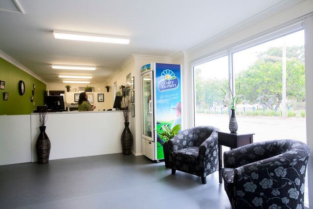 Budgewoi Holiday Park - Budgewoi: Reception and office