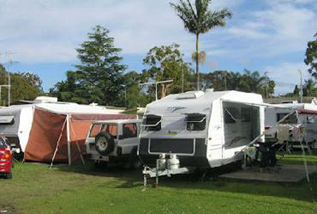 Walu Caravan Park - Budgewoi: Powered sites for caravans