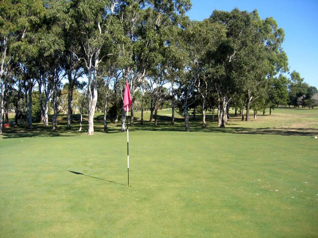 Bundaberg Golf Club - Bundaberg: Green on Hole 8