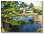 Oakwood Park Golf Course - Bundaberg: Pond for ducks and stray balls