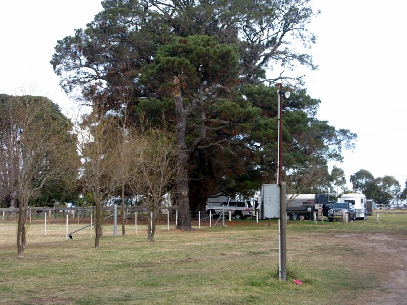 Bungendore Showground - Bungendore: Powered sites for caravans and motorhomes.