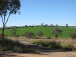 Burley Griffin Way near Galong - Galong: Pleasant countryside surrounds the area